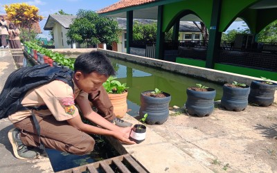 GENERASI PANCAWALUYA MENANAM POHON